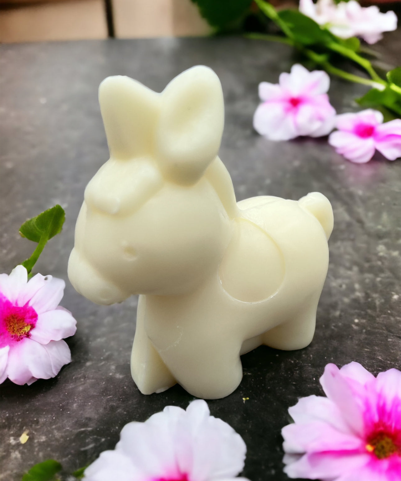 Savon âne 🫏 au lait d ânesse