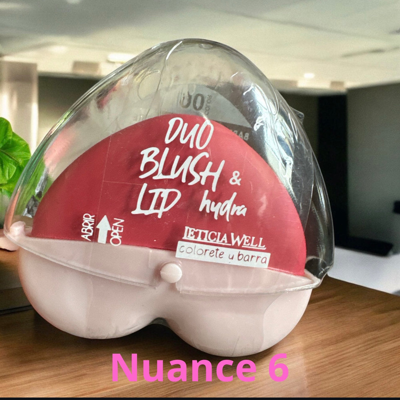 Duo blush et rouge à lèvres 💄